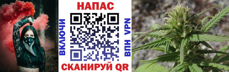 Сколько стоит Козловка Cocaine Конопля МЕФ СК ГАШ