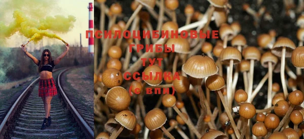 героин Алзамай