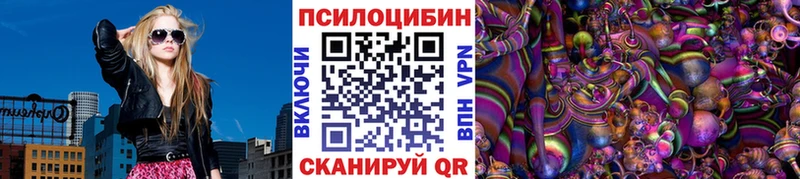 Галлюциногенные грибы Psilocybe  купить   Козловка 