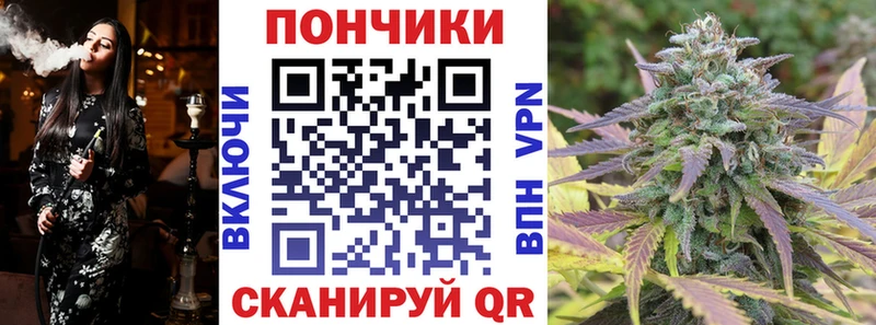 shop как зайти  Козловка  Шишки марихуана SATIVA & INDICA 